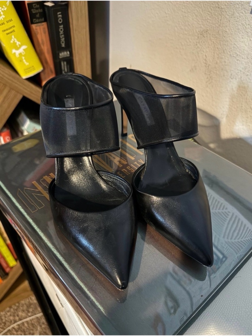Casadei Black Pointed-Toe Mesh Strap Stiletto Heels